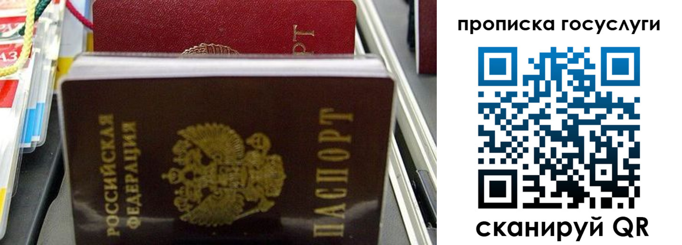 где прописаться в Архангельской области